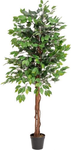 Europalms Ficus Tree Multi Trunk, artificial plant, 150cm