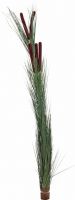 Europalms Reed grass with cattails,dark-green, artificial, 152cm