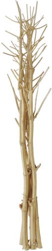 Europalms Fennel bunch, dried, gold, 160cm