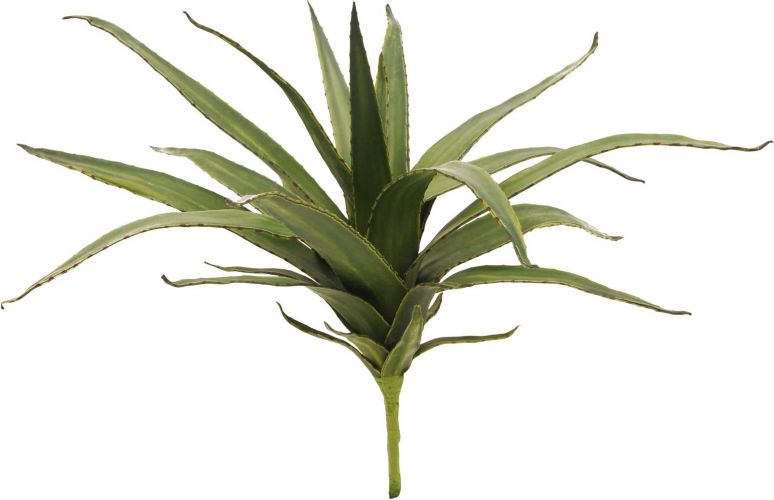 Europalms Aloe (EVA), artificial, green, 50cm