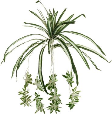Europalms Spider plant, artificial, 60cm
