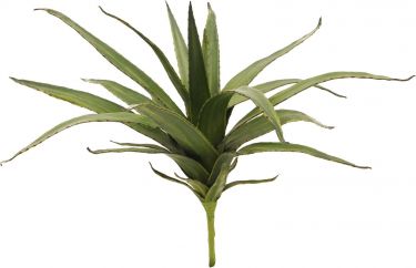 Europalms Aloe (EVA), artificial, green, 50cm