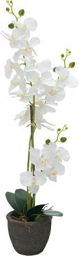 Europalms Orchid, artificial plant, white, 80cm
