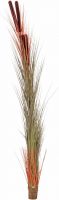 Europalms Reed grass with cattails, light-brown, artificial, 152cm