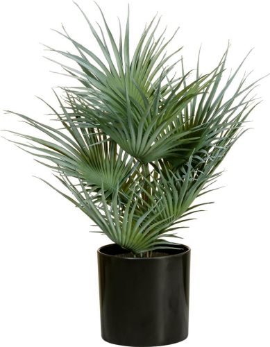 Europalms Fan Palm, artificial plant, 55cm