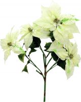 Europalms Poinsettia bush, cream, 60cm