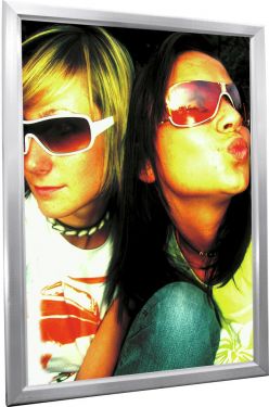 Europalms Illuminated billboard A0, aluminium