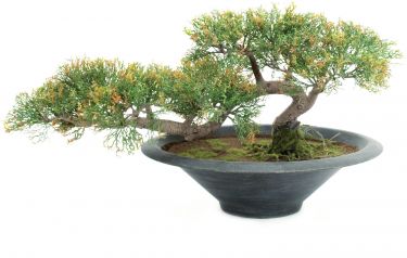 Europalms Pencil Cedar, artificial plant, 40cm