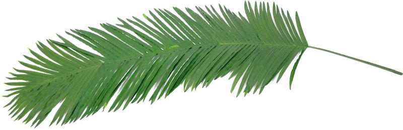 Europalms Coconut King Palm Branch, artificial, 180cm