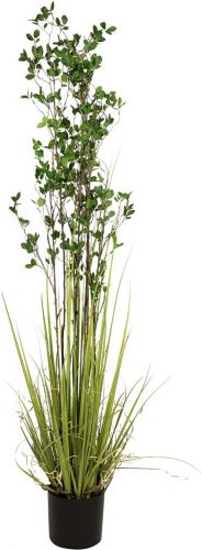 Europalms Evergreen shrub with grass, artificial plant, 182cm