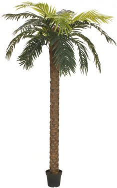 Europalms Phoenix Palm Deluxe, artificial plant, 250cm