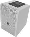 INTUSONIC 6FP100T 6.5" 2-way Fullrange Speaker white
