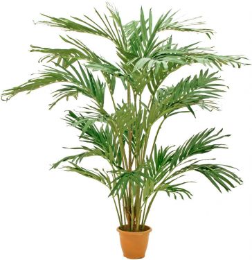 Europalms Canary date Palm, artificial plant, 240cm