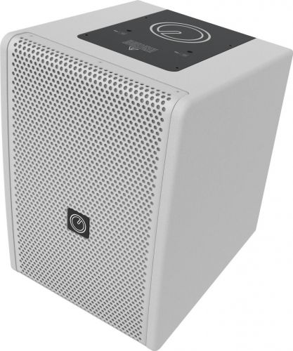 INTUSONIC 6FP100T 6.5" 2-way Fullrange Speaker white