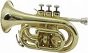 Blæseinstrumenter, Dimavery TP-300 Bb Pocket Trumpet, gold