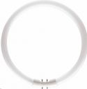 Philips - Lysstofrør - 40W cirkulær, TL5C, 830, 2GX13 (Ø406mm) Philips - Lysstofrør - 40W cirkulær, TL5C, 830, 2GX13 (Ø406mm)