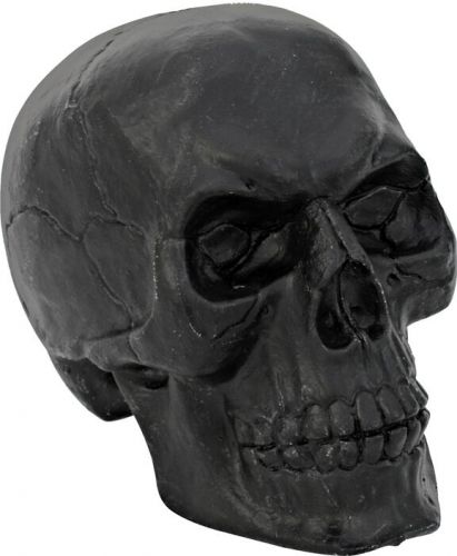 Halloween Dekoration, Sort Kranie