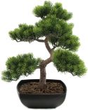 Decor & Decorations, Europalms Pine Bonsai, artificial plant, 50cm