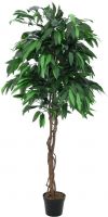 Decor & Decorations, Europalms Jungle tree Mango, artificial plant, 180cm