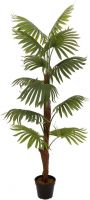 Decor & Decorations, Europalms Fan Palm, artificial plant, 155cm