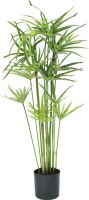 Kunstige planter, Europalms Cyprus Grass, artificial, 76cm