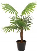 Kunstige planter, Europalms Fan Palm, artificial plant, 88cm
