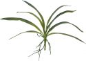 Artificial flowers, Europalms Orchid leaf (EVA), arificial, green, 45cm