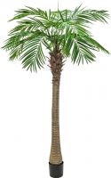 Artificial plants, Europalms Phoenix Palm Tree Luxor, artificial plant, 300cm