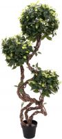 Europalms Ficus spiral trunk, artificial plant, 160cm Europalms Ficus spiral trunk, artificial plant, 160cm