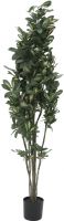 Decor & Decorations, Europalms Schefflera, artificial,120cm