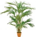 Artificial plants, Europalms Canary date Palm, artificial plant, 240cm
