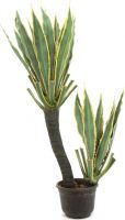Artificial plants, Europalms Orchid-Cactus, artificial plant, 160cm