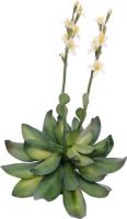 Udsmykning & Dekorationer, Europalms Houseleeks (EVA), artificial plant, yellow, 32cm