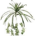 Kunstige planter, Europalms Spider plant, artificial, 60cm