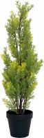 Kunstige planter, Europalms Cypress, Leyland, artificial plant, 60cm
