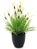 Kunstige planter, Europalms Feather lettuce, artificial, 40cm