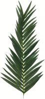 Artificial flowers, Europalms Coconut King Palm Branch, artificial, 150cm