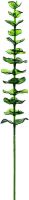 Artificial flowers, Europalms Crystal eucalyptus, artificial plant, green 81cm 12x