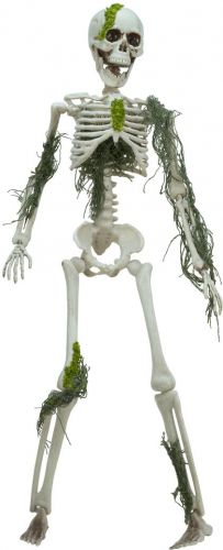 Halloween Dekoration, Skelet med Mos, 40cm
