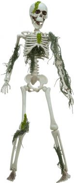 Halloween Dekoration, Skelet med Mos, 40cm