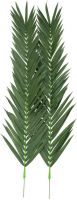 Kunstige planter, Europalms Coconut King Palm Branch, artificial, 210cm