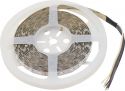 Sortiment, Eurolite LED Strip 300 5m 5050 RGB/WW/CW 24V