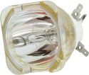 USHIO NSL 420 Reflector Discharge Lamp