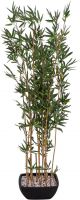 Europalms Bamboo in bowl, artificial, 150cm