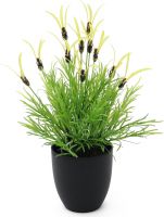 Europalms Feather lettuce, artificial, 40cm