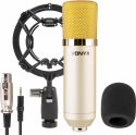 CM400C Studio Condenser Microphone Champagne CM400C Studio Condenser Microphone Champagne