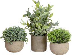 Europalms Table plants in pots, artificial plant, Set of 3 Europalms Table plants in pots, artificial plant, Set of 3