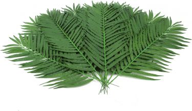Europalms Coconut palm branch, artificial, 110cm 12x