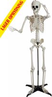Udsmykning & Dekorationer, Halloween Dekoration, Klassisk Skelet, 150cm