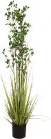 Decor & Decorations, Europalms Evergreen shrub with grass, artificial plant, 182cm